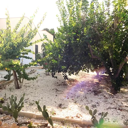 Brezza Marina Fronte Mare Holiday home Lido di Noto