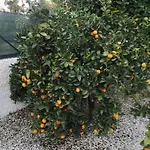 Сasa de vacaciones Brezza Marina Fronte Mare *